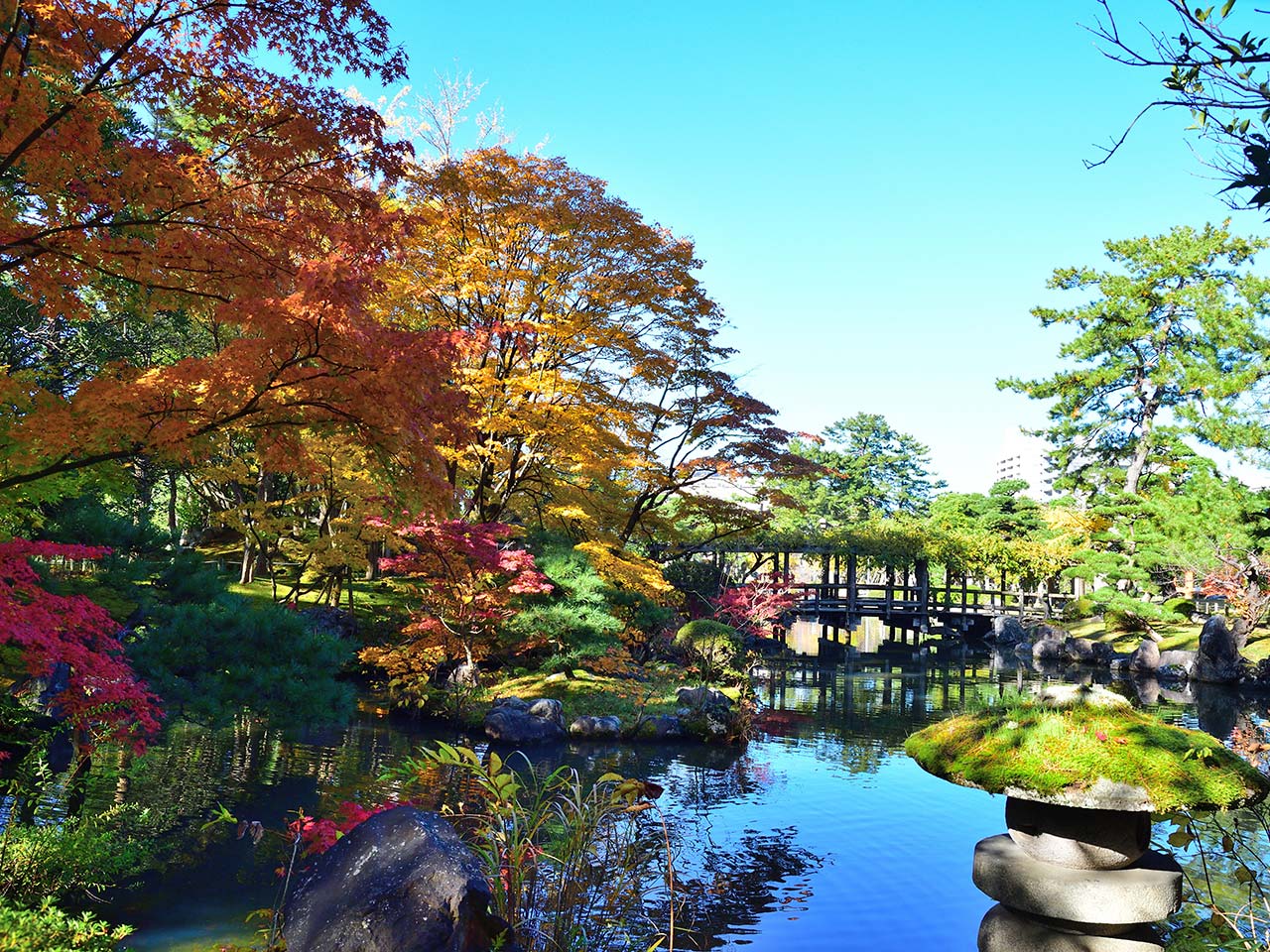 白山神社と白山公園：街の中心で、凛とした時間に出会う