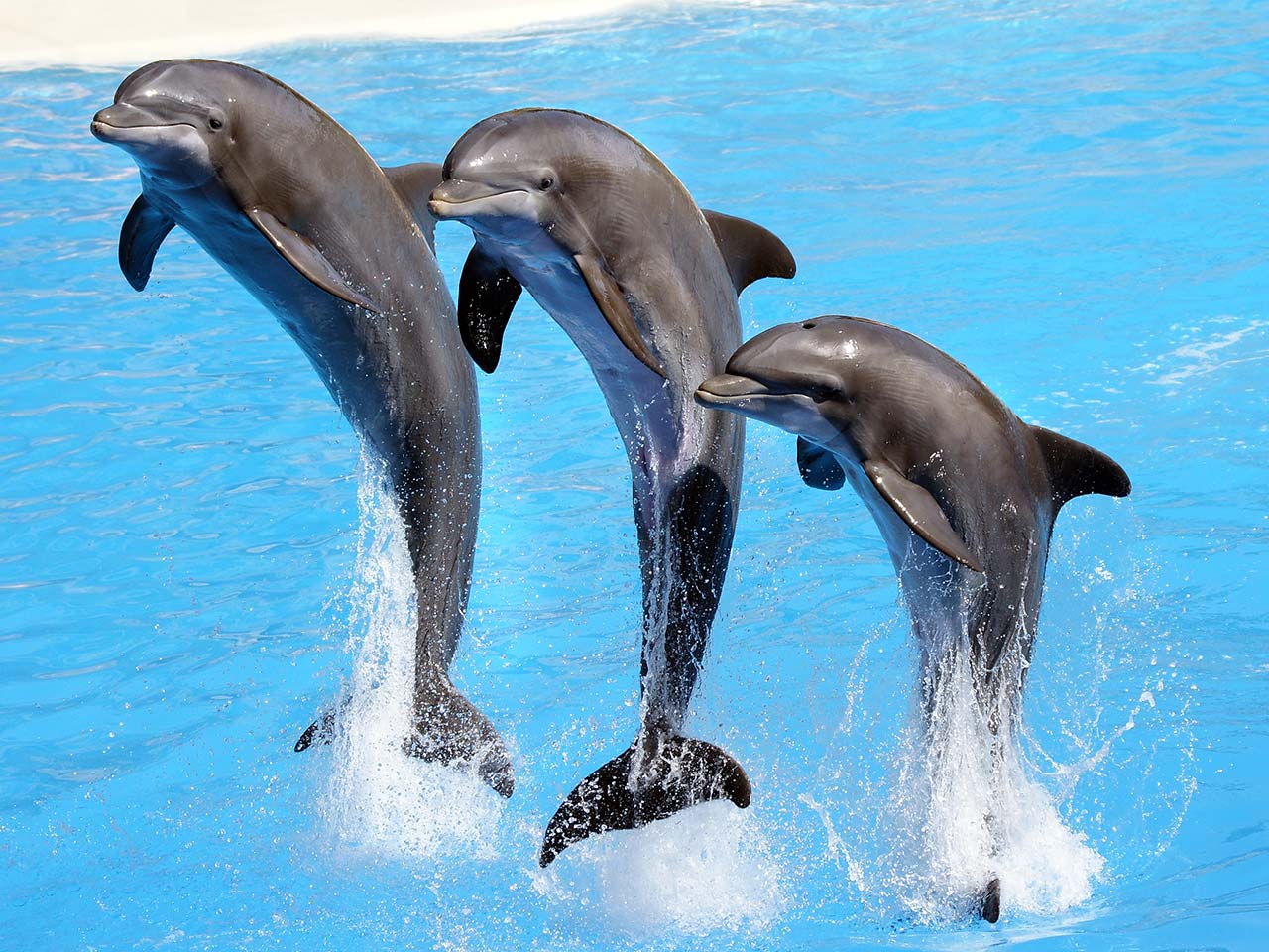 新潟市水族館 マリンピア日本海：海風の街で、水の時間に浸る